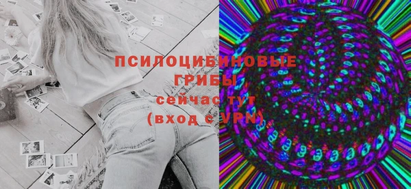 ГАЛЛЮЦИНОГЕННЫЕ ГРИБЫ Кинешма