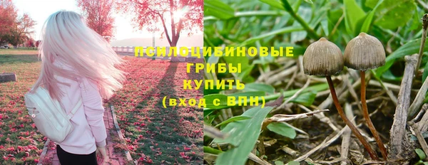ГАЛЛЮЦИНОГЕННЫЕ ГРИБЫ Кинешма