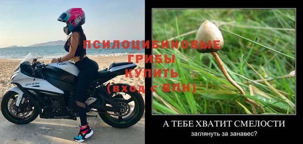кокаин перу Касимов