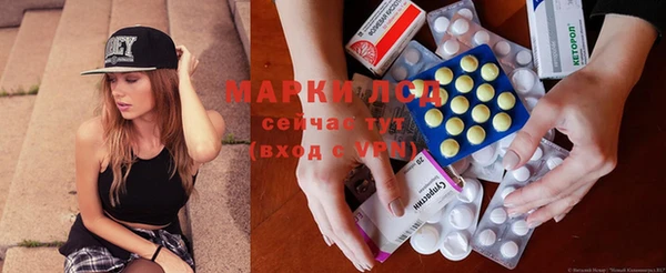 apvp Шали