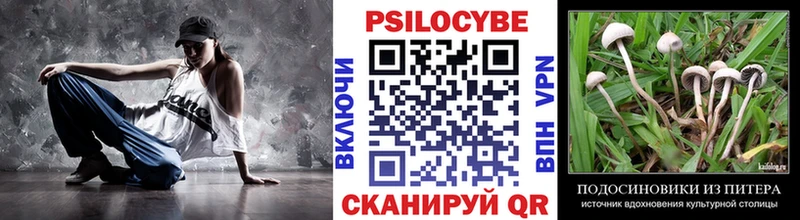 Галлюциногенные грибы GOLDEN TEACHER  Котово 